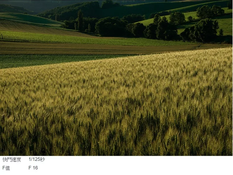 SONY索尼 SELP1650 E 16-50mm F/3.5-5.6 OSS - 詳情4