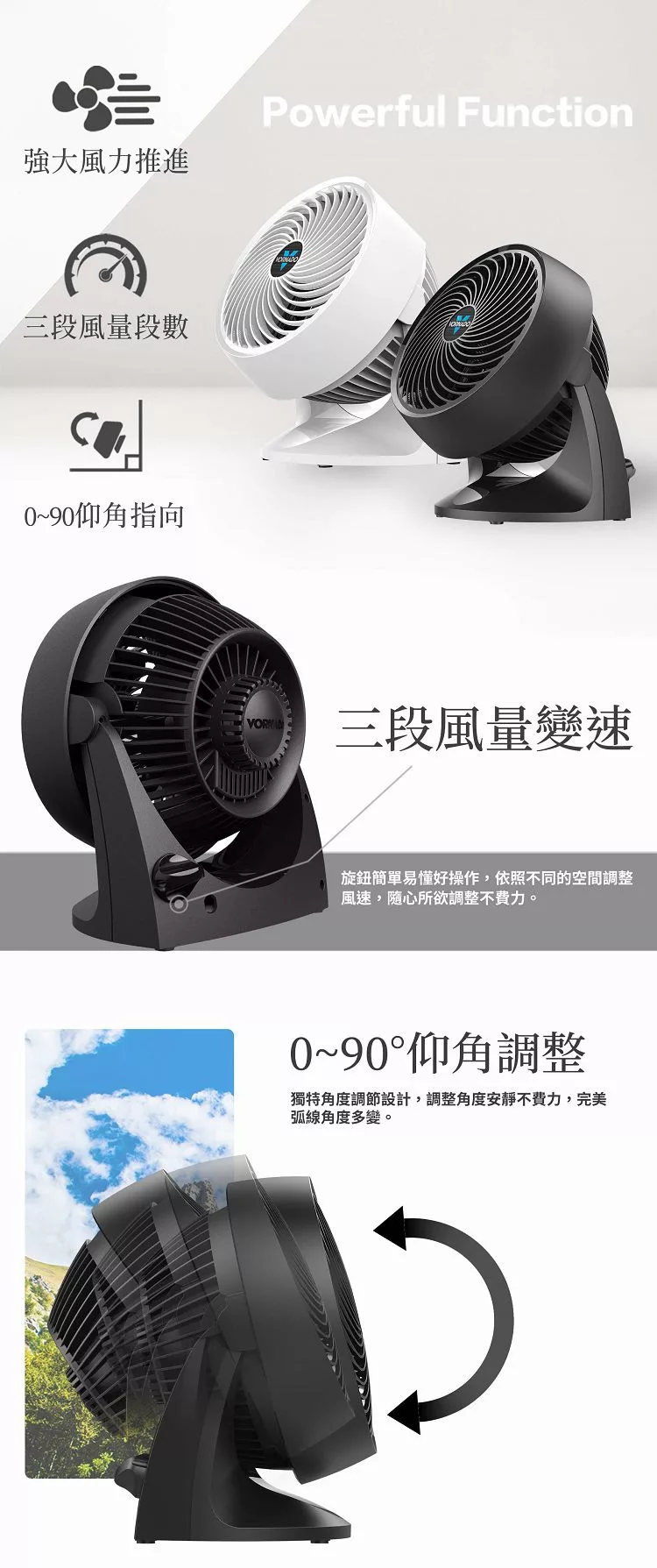 Vornado 533B - 詳情5