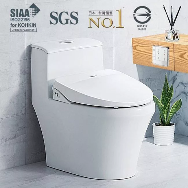 Panasonic國際牌瞬熱式溫水洗淨便座 DL-RRTK50TWW