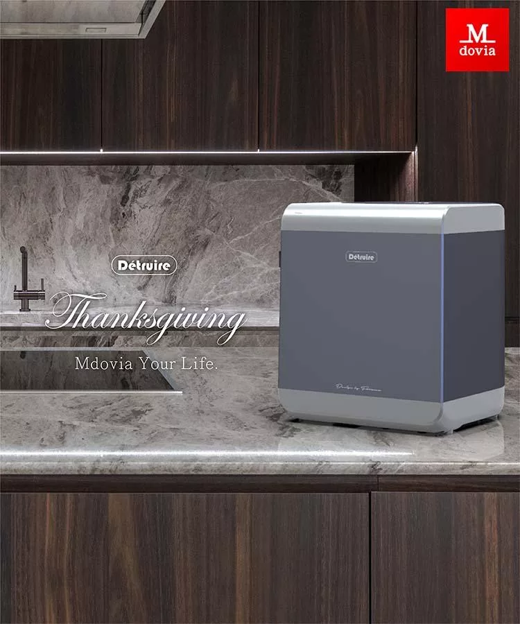 Mdovia Detruire - 詳情2