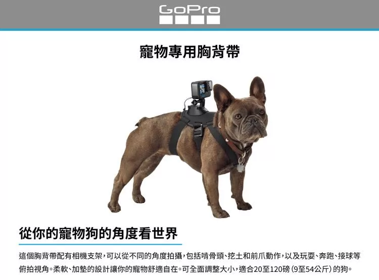 GoPro ADOGM-001 - 詳情5