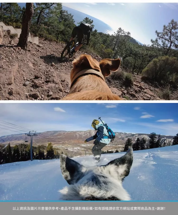 GoPro ADOGM-001 - 詳情6