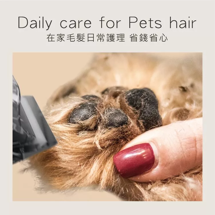 Dirt Devil Petsmate - 詳情6