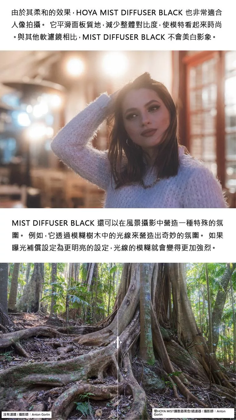 HOYA MIST DIFFUSER BLACK - 詳情5