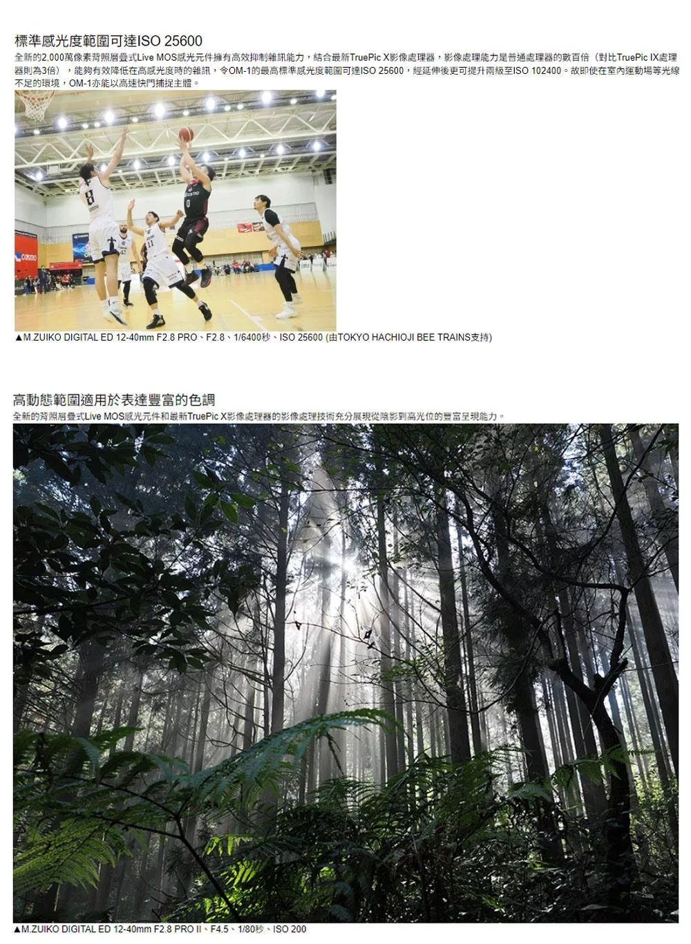 OLYMPUS奧林巴斯 OM-1 - 詳情5