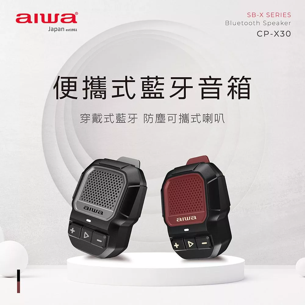 AIWA愛華 CP-X30 - 詳情5