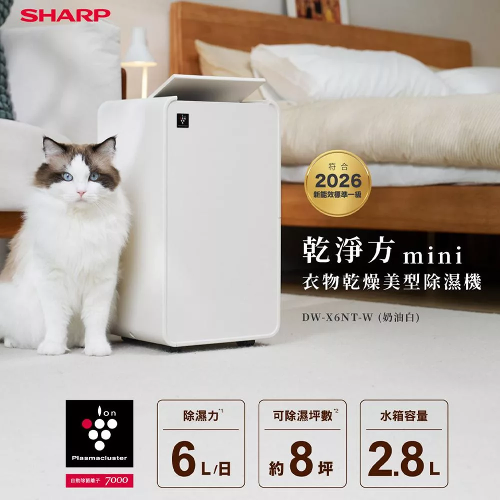 SHARP夏普 6L 乾淨方mini美型除濕機 DW-X6NT-W