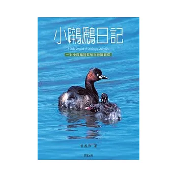 小鷿鷈日記