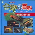 台灣的螢火蟲