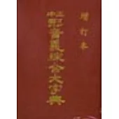 正中形音義綜合大辭典(25開本)