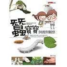 蠶寶寶飼養與觀察