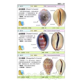 博客來 台灣貝類圖鑑 全新美耐版 博客來 台灣貝類圖鑑 全新美耐版