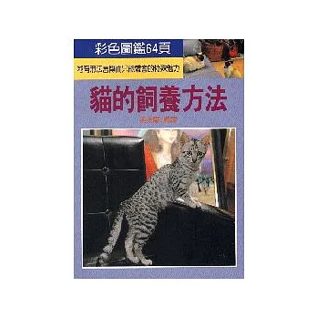 貓的飼養方法