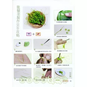 博客來 粘土細工 花草空間作品集