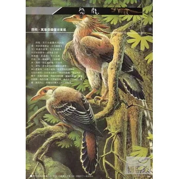 水中蛟龍 史前水棲爬行動物 拾書所 水中蛟龍 史前水棲爬行動物 拾書所