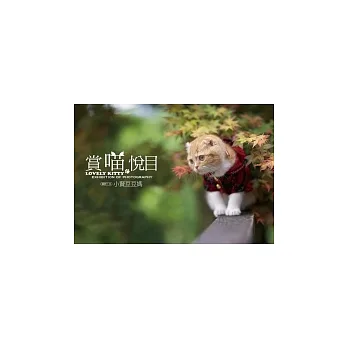 賞喵悅目