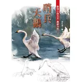 沈石溪動物小說：哨兵天鵝