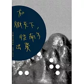 在微光下，從南方出發：台南藝文空間回訪1980-2012
