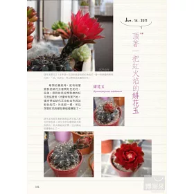 博客來 希莉安の東京多肉植物日記 博客來 希莉安の東京多肉植物日記