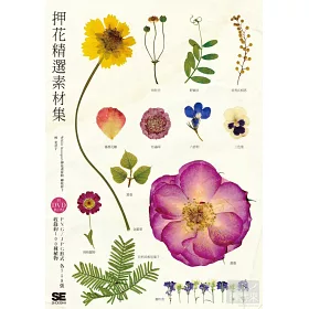 博客來 押花精選素材集 自由運用758張圖檔 共100種植物 附dvd Rom 博客來 押花精選素材集 自由運用758張圖檔 共100種植物 附dvd Rom