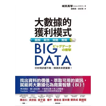 Big Data大數據的獲利模式：圖解．案例．策略．實戰