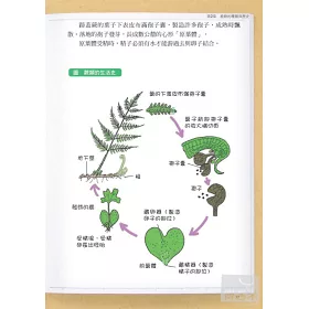 博客來 3小時讀通生物