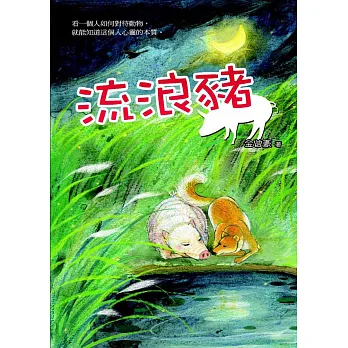 流浪豬