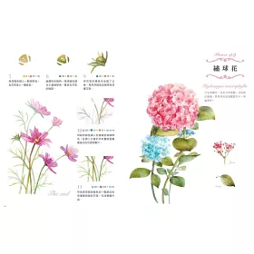 博客來 水彩花之繪 32種柔美綻放的花姿態 一畫就上手的透亮渲染技法 博客來 水彩花之繪 32種柔美綻放的花姿態 一畫就上手的透亮渲染技法