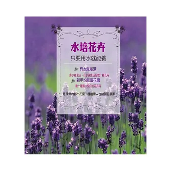 水培花卉:只要用水就能養