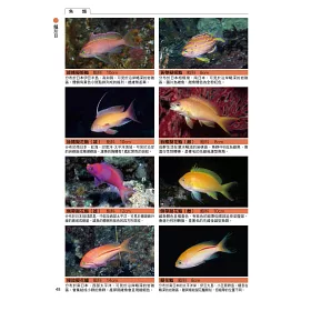 博客來 海水魚與海中生物完全圖鑑 博客來 海水魚與海中生物完全圖鑑