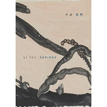 李濤:我們