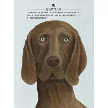 《動物眼中的世界》&《They all saw a cat》 《動物眼中的世界》&《They all saw a cat》