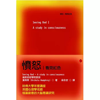 憤怒:看見紅色
