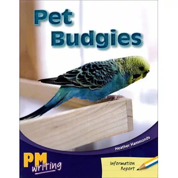 PM Writing 1 Yellow/Blue 8/9 Pet Budgies