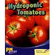 PM Writing 3 Purple/Gold 20/21 Hydroponic Tomatoes