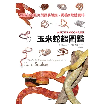 玉米蛇超圖鑑:簡單了解玉米蛇的飼養要訣