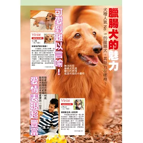 博客來 臘腸犬 博客來 臘腸犬