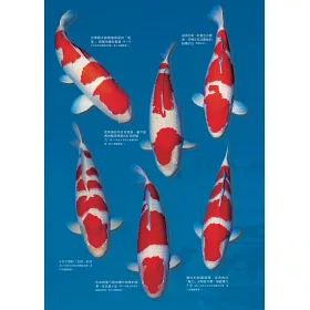 博客來 錦鯉鑑賞x飼養指南 博客來 錦鯉鑑賞x飼養指南