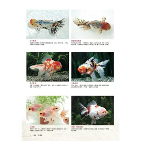 博客來 給新手的金魚鑑賞x飼養指南 博客來 給新手的金魚鑑賞x飼養指南
