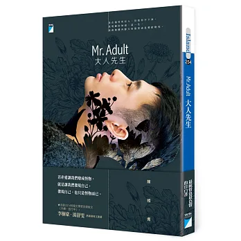 Mr. Adult 大人先生