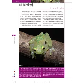 博客來 蛙類超圖鑑 品種 特徵 飼育知識統統告訴你 博客來 蛙類超圖鑑 品種 特徵 飼育知識統統告訴你