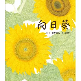 博客來 向日葵 博客來 向日葵
