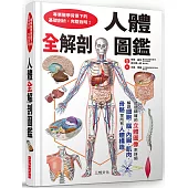 人體全解剖圖鑑：專業醫學背景下的基礎剖析，完整說明!