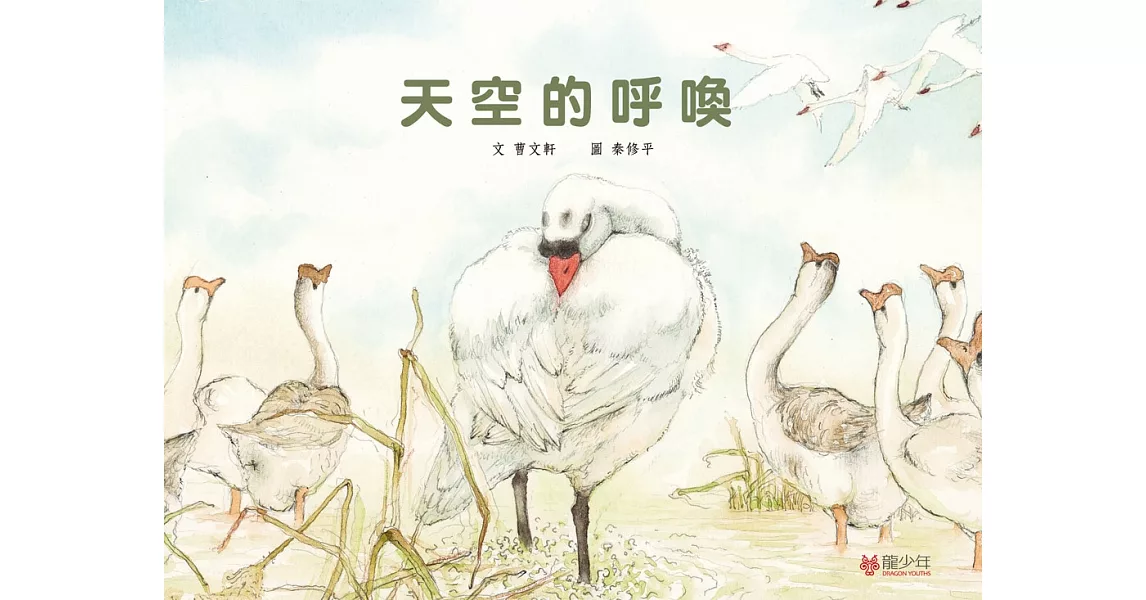 天空的呼喚