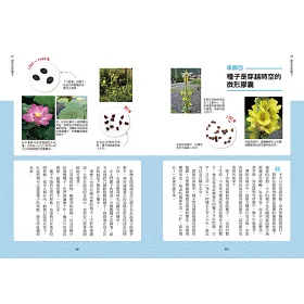 博客來 種子圖鑑 天上飛 河裡游 偽裝欺敵搞心機 讓你意想不到的種子變身小劇場 博客來 種子圖鑑 天上飛 河裡游 偽裝欺敵搞心機 讓你意想不到的種子變身小劇場