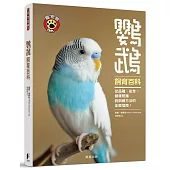 鸚鵡飼育百科：從品種、安全、健康照護到訓練方法的全面指南!