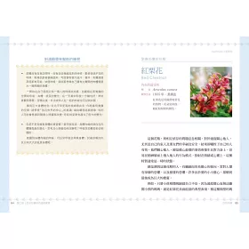 博客來 巴哈花精應用指南 獨創38種花精冥想練習 幫你釋放情緒壓力 博客來 巴哈花精應用指南 獨創38種花精冥想練習 幫你釋放情緒壓力