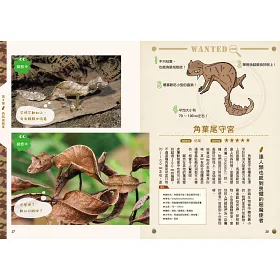 博客來 模王高手擬態生物圖鑑 動物在哪裡 絕對難倒你 種擬態生物大集合 博客來 模王高手擬態生物圖鑑 動物在哪裡 絕對難倒你 種擬態生物大集合