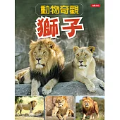 動物奇觀：獅子