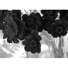 博客來 花店 關於那些花所傳遞的故事 博客來 花店 關於那些花所傳遞的故事